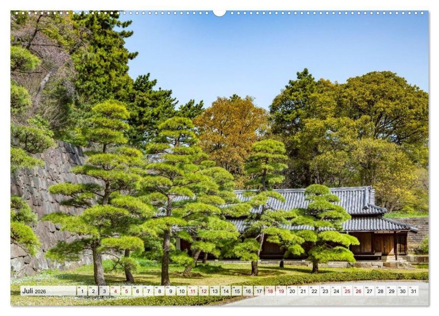 InsideView 11