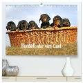 Hundekinder vom Land (hochwertiger Premium Wandkalender 2024 DIN A2 quer), Kunstdruck in Hochglanz - Beatrice Müller