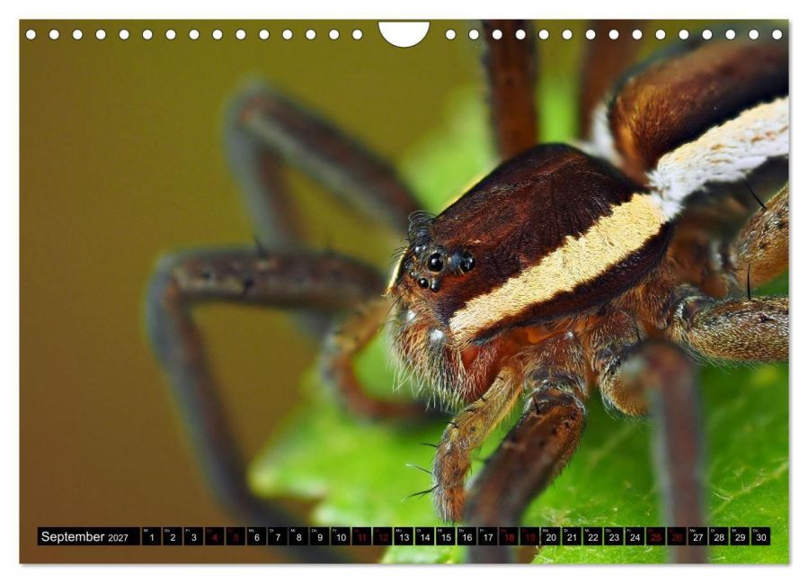 InsideView 14