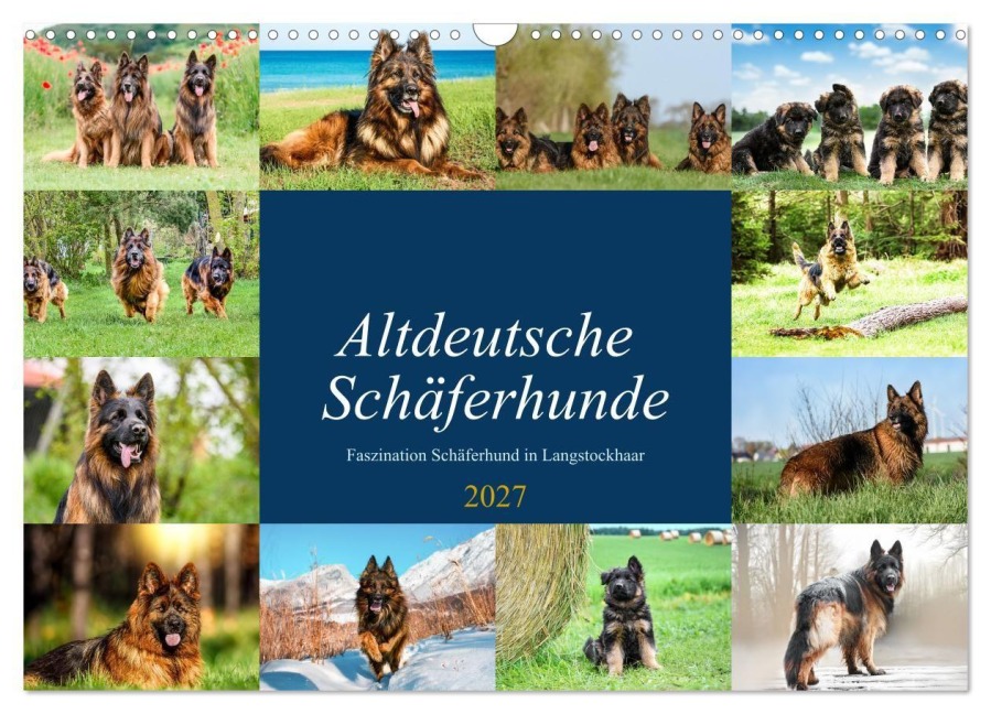 Altdeutsche Schäferhunde - Faszination Schäferhund in Langstockhaar (Wandkalender 2027 DIN A3 quer), CALVENDO Monatskalender - Jana K. Fotografie