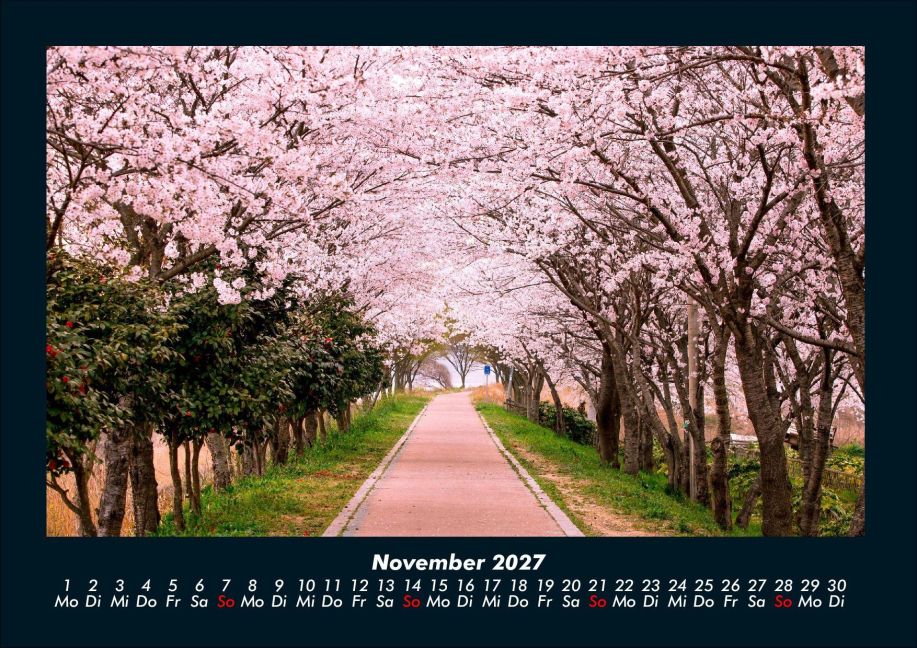 InsideView 3