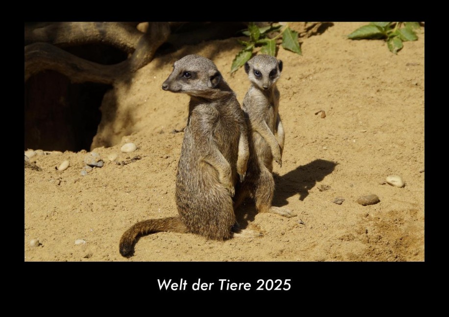 Welt der Tiere 2025 Fotokalender DIN A3 - Tobias Becker