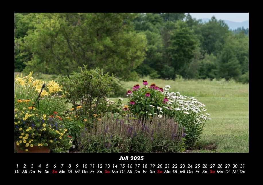 InsideView 11