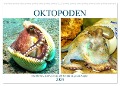 Oktopoden. Drei Herzen, acht Arme und das Gehirn im ganzen Körper (Wandkalender 2024 DIN A2 quer), CALVENDO Monatskalender - Rose Hurley