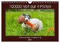 100000 Volt auf vier Pfoten - Jack und Parson Russell Terrier (Wandkalender 2024 DIN A4 quer), CALVENDO Monatskalender - Sigrid Starick