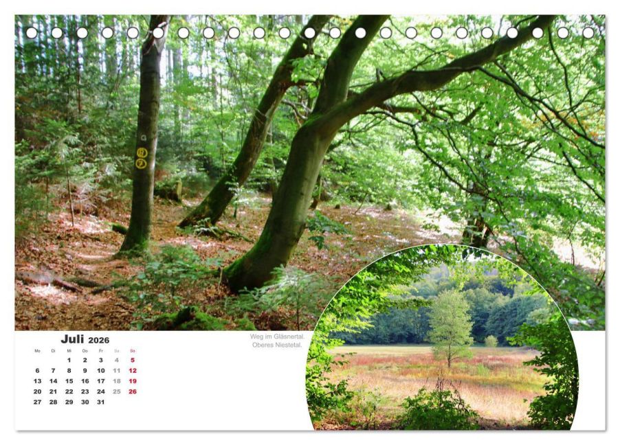 InsideView 12