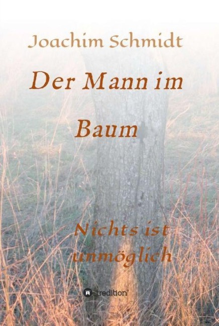 Der Mann im Baum - Joachim Schmidt