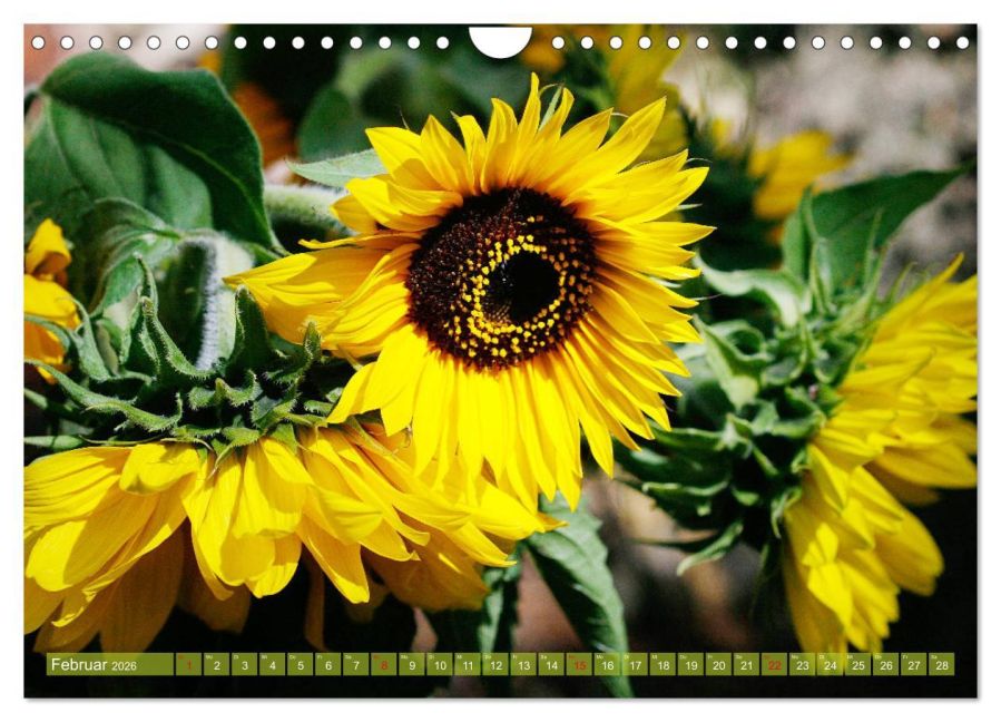 InsideView 7
