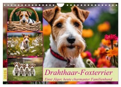 Cover-Bild zum Titel 'Drahthaar-Foxterrier (Wandkalender 2026 DIN A4 quer), CALVENDO Monatskalender' von 'Claudia Kleemann'