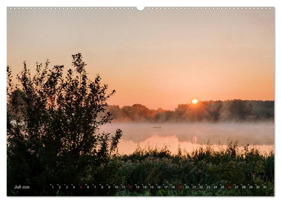 InsideView 12