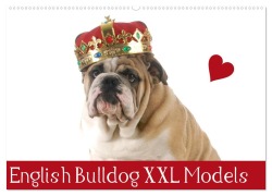 Cover-Bild zum Titel 'English Bulldog XXL Models (Wandkalender 2026 DIN A2 quer), CALVENDO Monatskalender' von 'Elisabeth Stanzer'