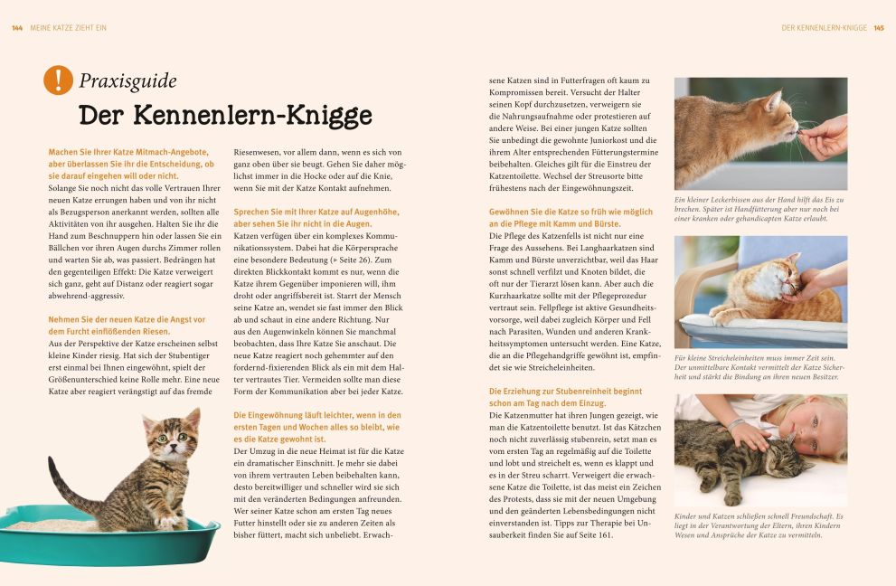 InsideView 7