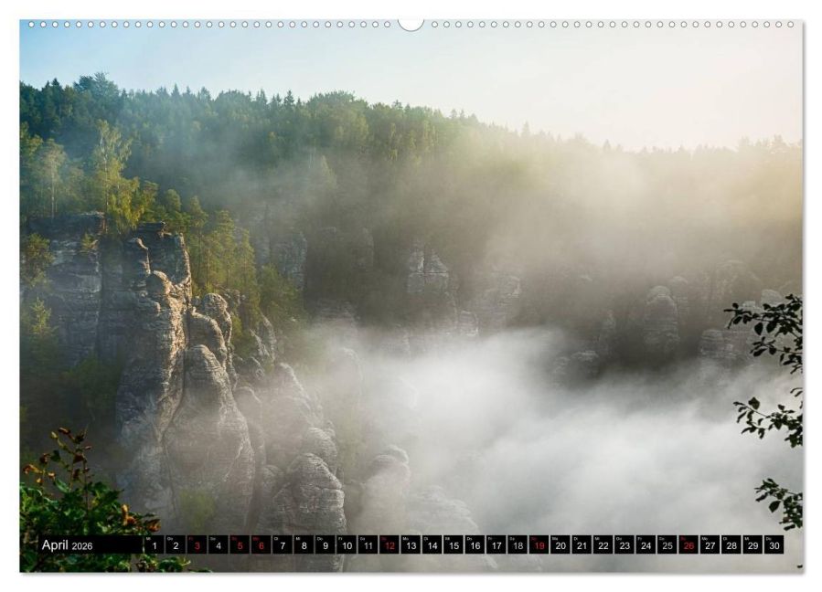 InsideView 8