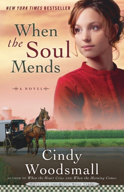 When the Soul Mends - Cindy Woodsmall