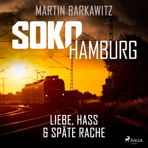 SoKo Hamburg: Liebe, Hass & späte Rache (Ein Fall für Heike Stein, Band 10) - Martin Barkawitz