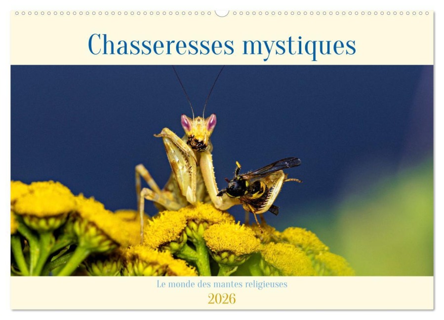 Chasseresses mystiques (Calendrier mural 2026 DIN A2 vertical), CALVENDO calendrier mensuel - Roland Brack