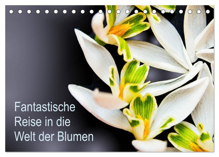 Fantastische Reise in die Welt der Blumen (Tischkalender 2026 DIN A5 quer), CALVENDO Monatskalender - Anke Klöppel