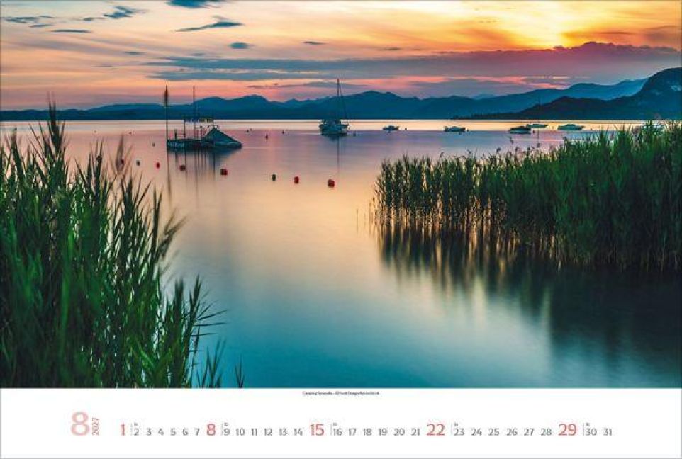 InsideView 8