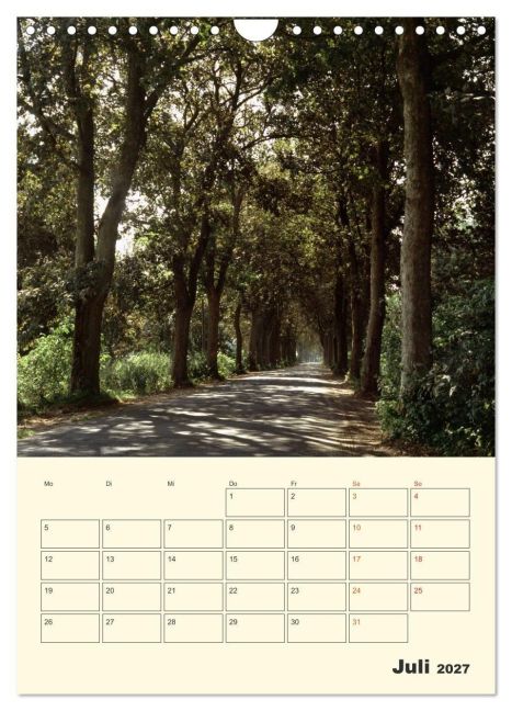 InsideView 12