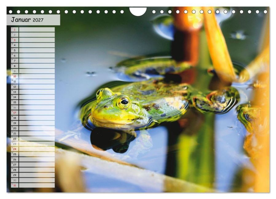 InsideView 6