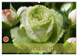 Cover-Bild zum Titel 'Lass Rosen sprechen (Wandkalender 2026 DIN A2 quer), CALVENDO Monatskalender' von 'Martina Cross'