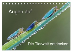 Cover-Bild zum Titel 'Augen auf - versteckte Tierwelt (Tischkalender 2026 DIN A5 quer), CALVENDO Monatskalender' von 'Dorothea Oldani'
