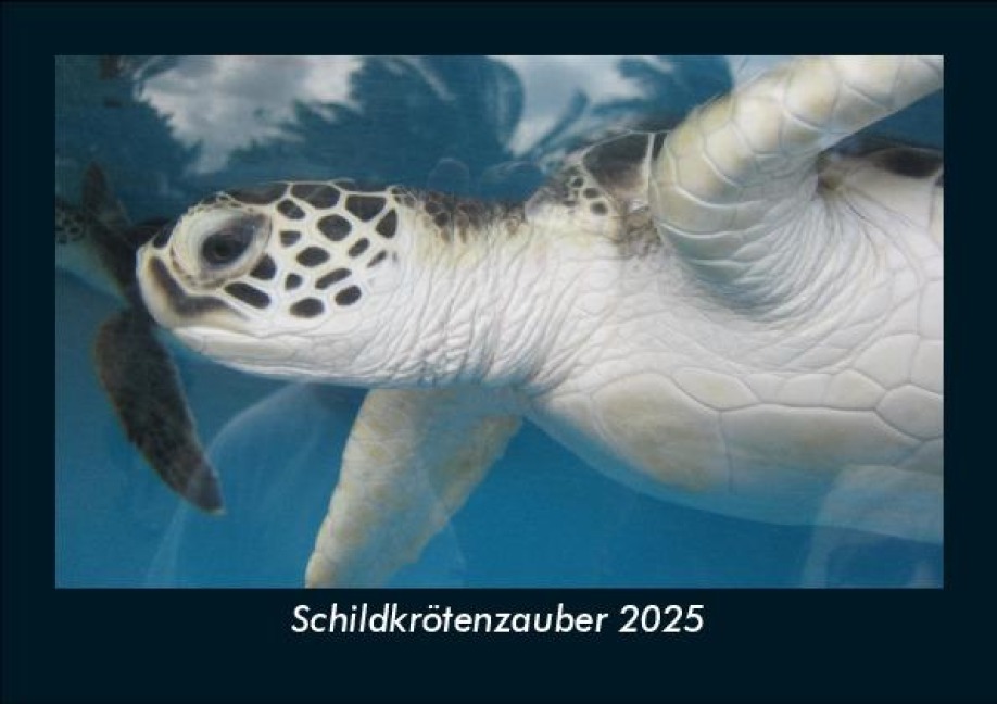 Schildkrötenzauber 2025 Fotokalender DIN A5 - Tobias Becker