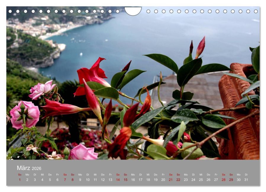InsideView 8