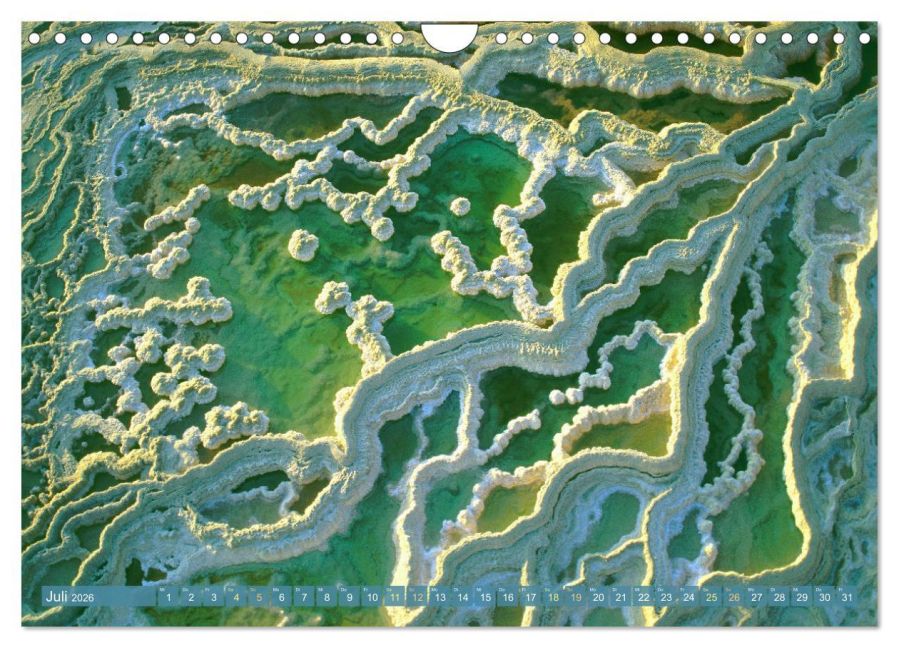 InsideView 12