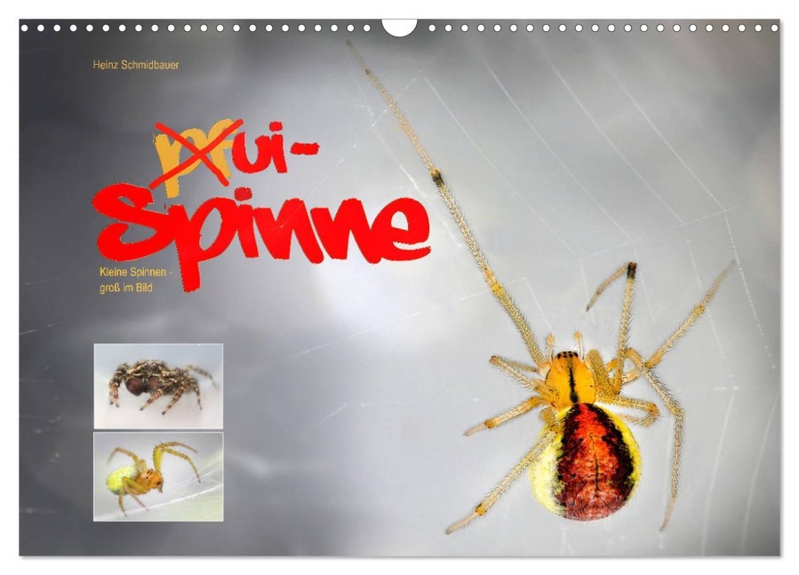 ui - Spinne. Kleine Spinnen - groß im Bild (Wandkalender 2026 DIN A3 quer), CALVENDO Monatskalender - Heinz Schmidbauer