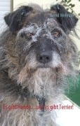 Cover-Bild zum Titel 'Es gibt Hunde....und es gibt Terrier!' von 'Bernd Wehrum'