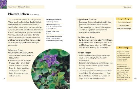 InsideView 4
