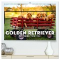 Golden Retriever - Die treuen Begleiter. (hochwertiger Premium Wandkalender 2025 DIN A2 quer), Kunstdruck in Hochglanz - Sf Sf