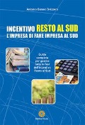 Cover-Bild zum Titel 'Incentivo Resto al Sud. L'impresa di fare impresa al Sud' von 'Antonio Baiano Svizzero'
