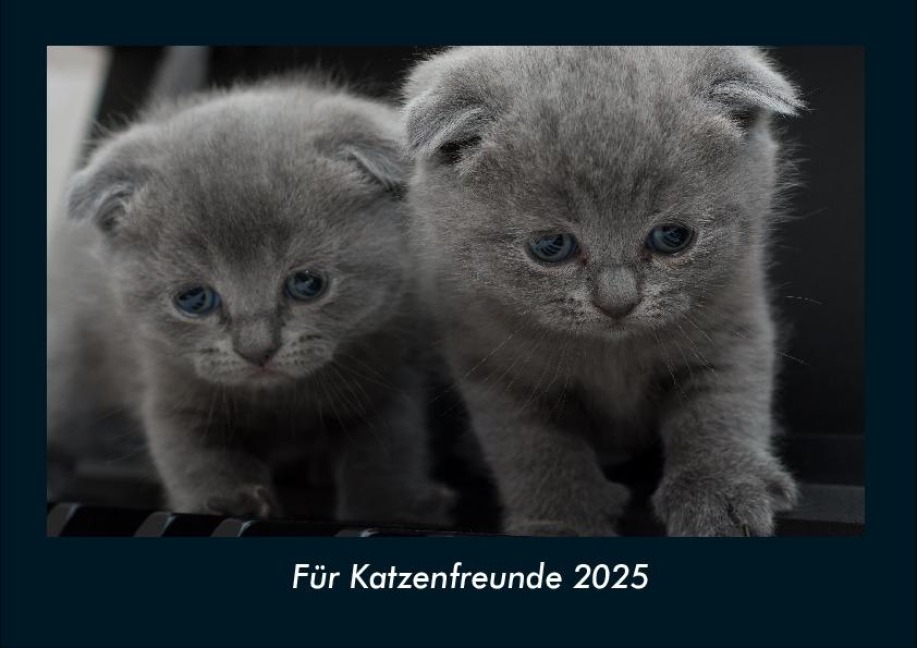 Für Katzenfreunde 2025 Fotokalender DIN A4 - Tobias Becker