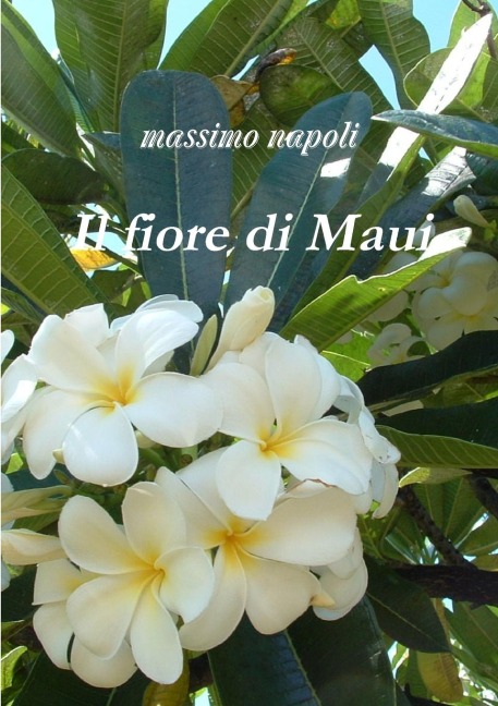 Il fiore di Maui - Massimo Napoli