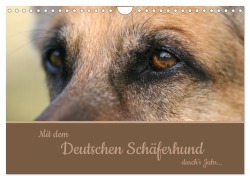 Cover-Bild zum Titel 'Mit dem Deutschen Schäferhund durch's Jahr (Wandkalender 2026 DIN A4 quer), CALVENDO Monatskalender' von 'Claudia Steininger'