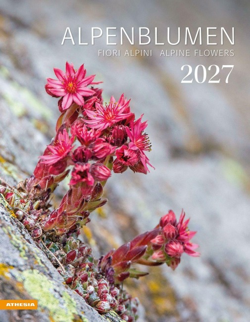 Alpenblumen Kalender 2027 - 