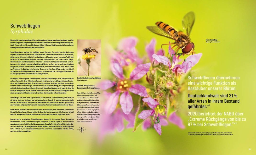 InsideView 13