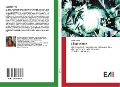 Cover-Bild zum Titel 'L'Esplosione' von 'Cinzia Fanelli'