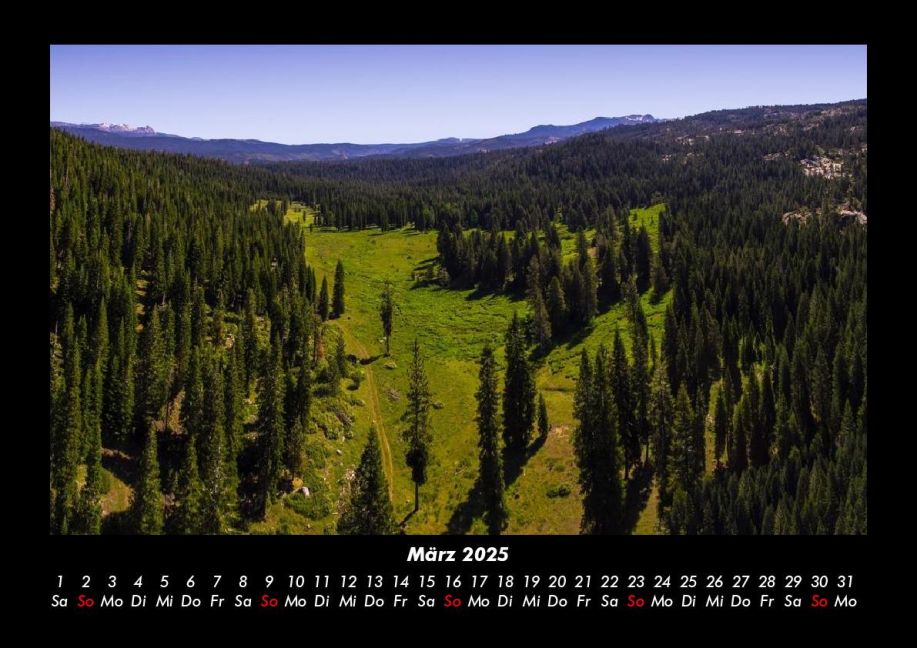 InsideView 7