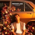 Cover-Bild zum Titel 'Prototyp Liebe' von 'Gregor Hägele'