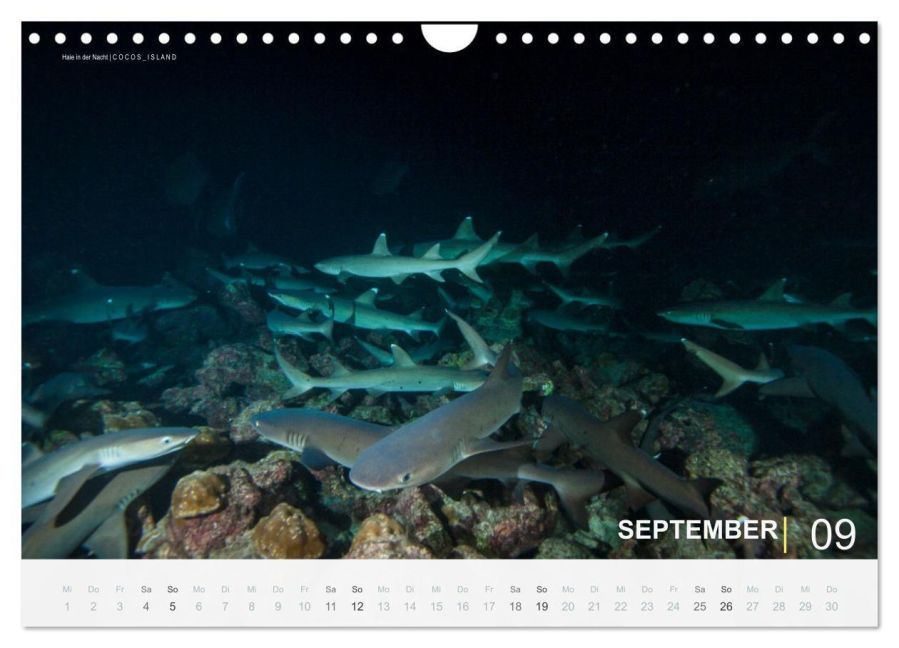 InsideView 14