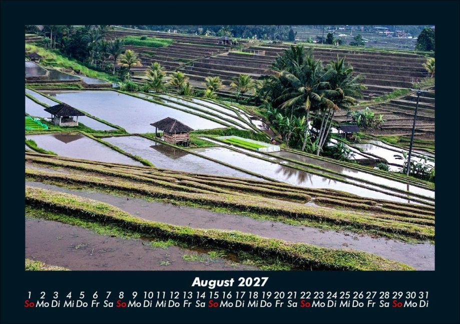 InsideView 12