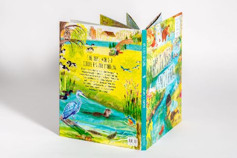 InsideView 5
