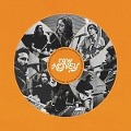 Cover-Bild zum Titel 'Raw Honey' von 'Drugdealer'