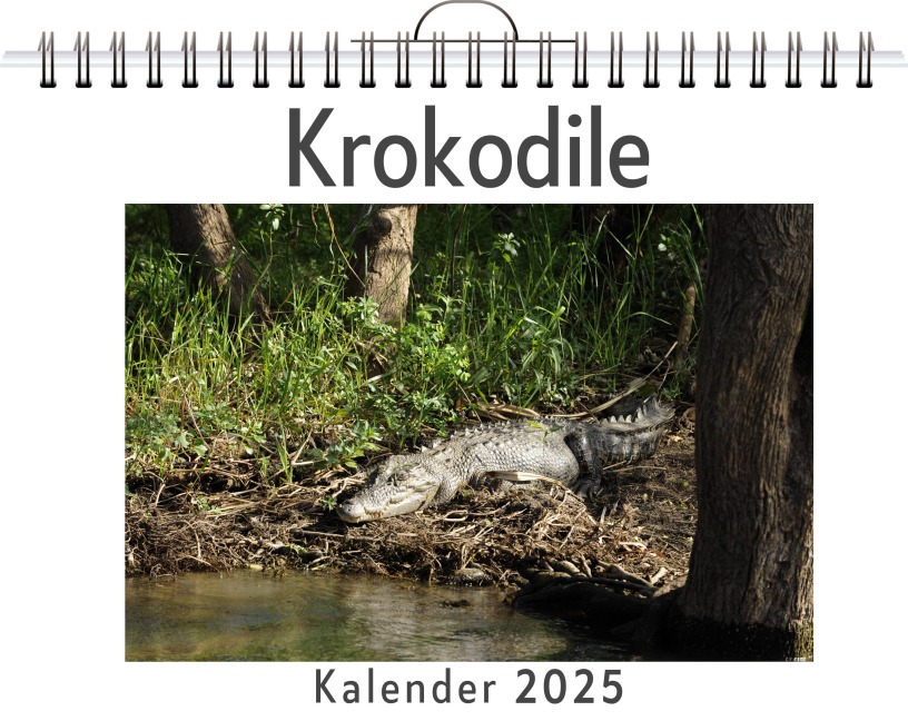 Krokodile - Noah Fischer