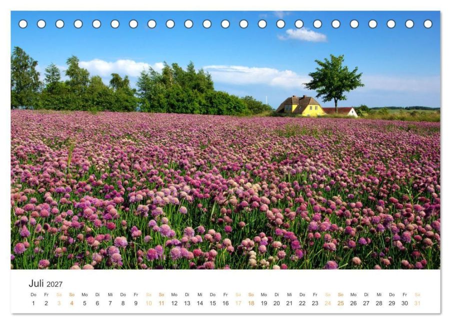 InsideView 12