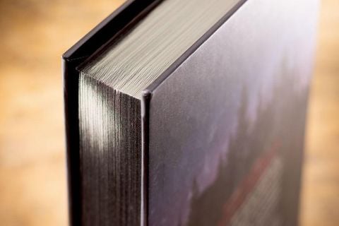 InsideView 11