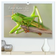 Cover-Bild zum Titel 'Falter, Käfer und Co.faszinierend, doch extrem gefährdet (hochwertiger Premium Wandkalender 2026 DIN A2 quer), Kunstdruck in Hochglanz' von 'Heinz Schmidbauer'